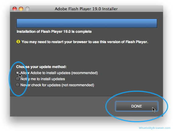 Adobe flash player for mac check
